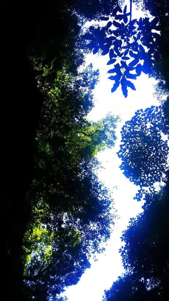 英语单词总是记不住怎么办？