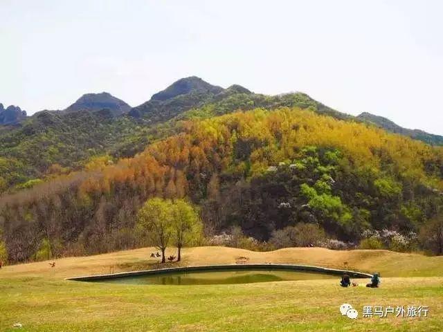 孤岛惊魂4