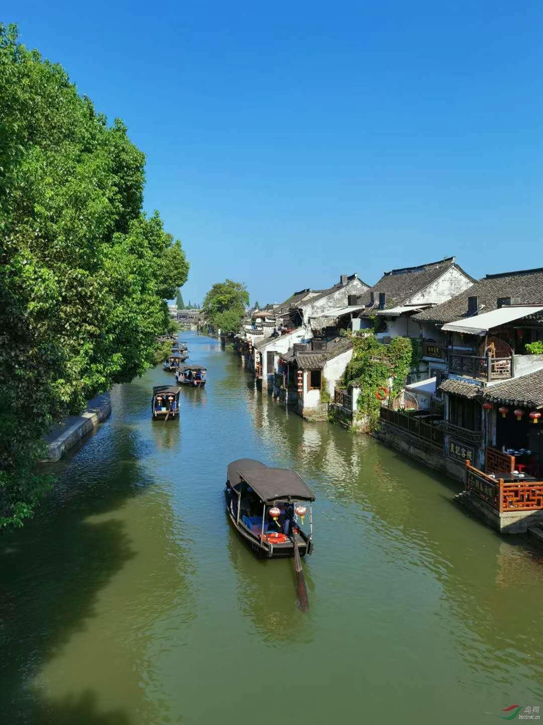 逃出郊外大别墅